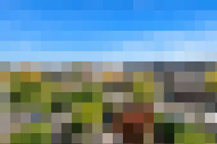 Oude Veiling 1 Den Hoorn thumbnail 64