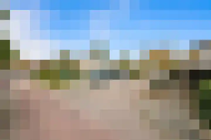 Oude Veiling 1 Den Hoorn thumbnail 67