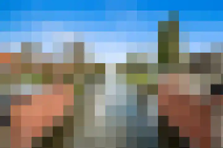 Oude Veiling 1 Den Hoorn thumbnail 68
