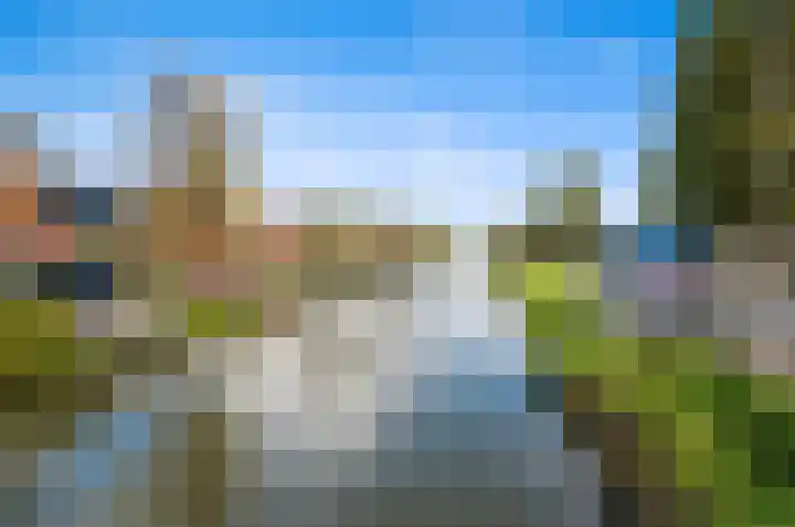 Oude Veiling 1 Den Hoorn thumbnail 69