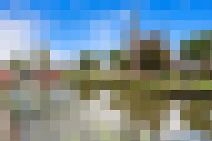 Oude Veiling 1 Den Hoorn thumbnail 70