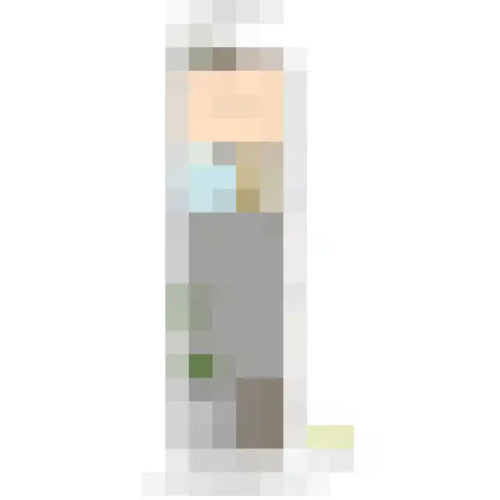 Oude Veiling 1 Den Hoorn thumbnail 79