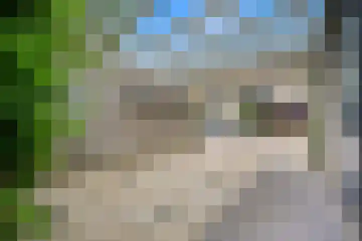 Oude Veiling 1 Den Hoorn thumbnail 8
