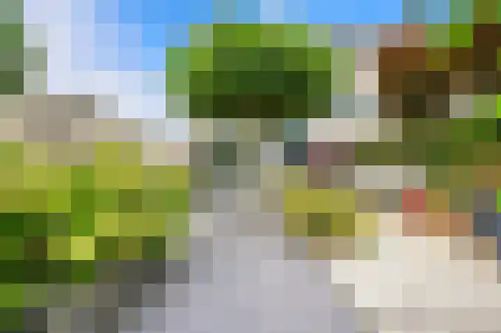 Oude Veiling 1 Den Hoorn thumbnail 9