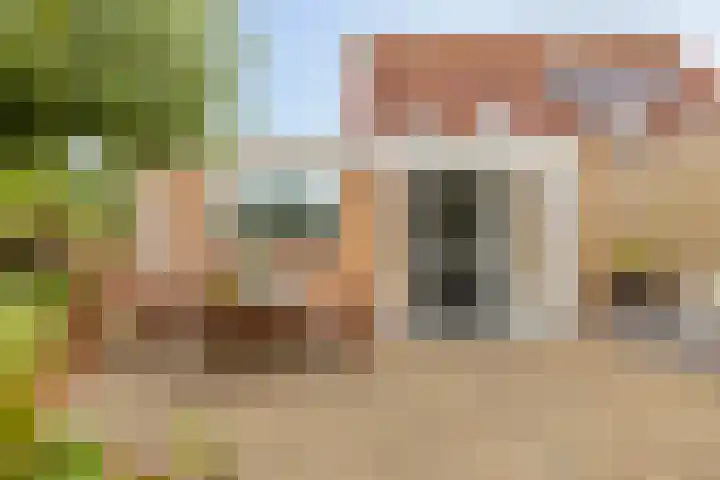Oude veiling 35 Kapelle thumbnail 32