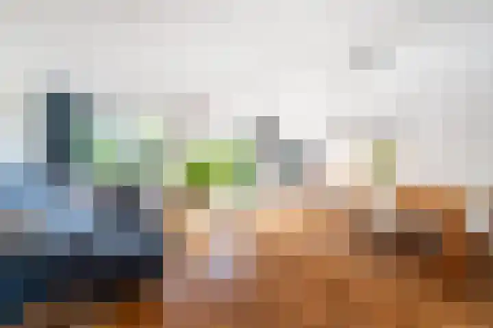 Oude Veiling 38 Den Hoorn thumbnail 10