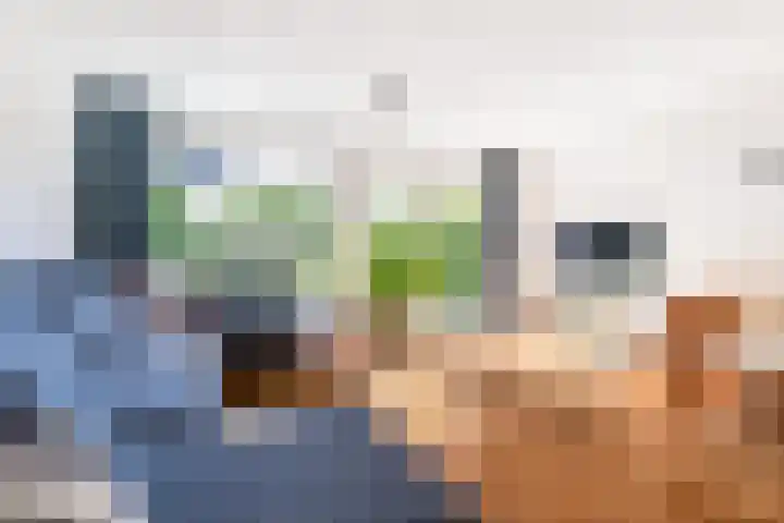 Oude Veiling 38 Den Hoorn thumbnail 11