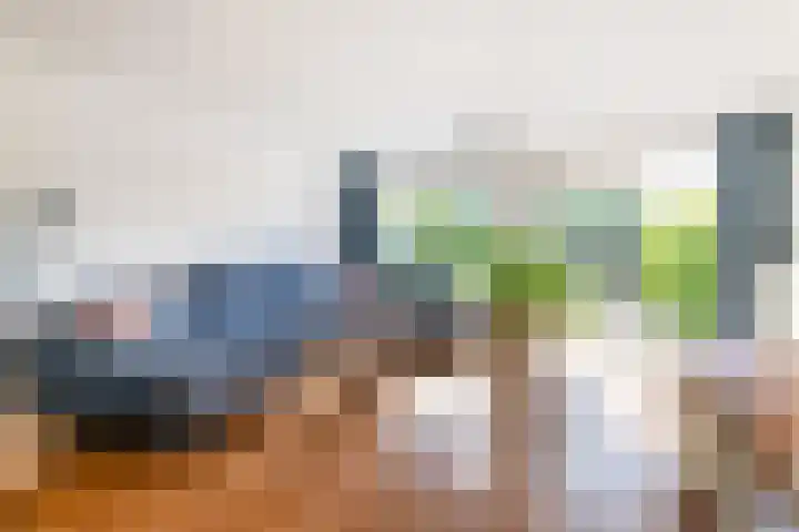 Oude Veiling 38 Den Hoorn thumbnail 12