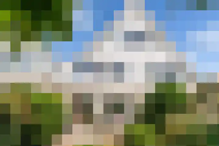 Oude Veiling 38 Den Hoorn thumbnail 16