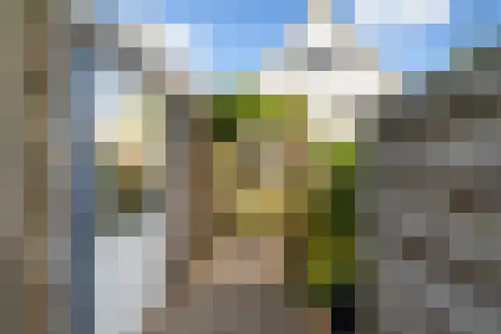 Oude Veiling 38 Den Hoorn thumbnail 17