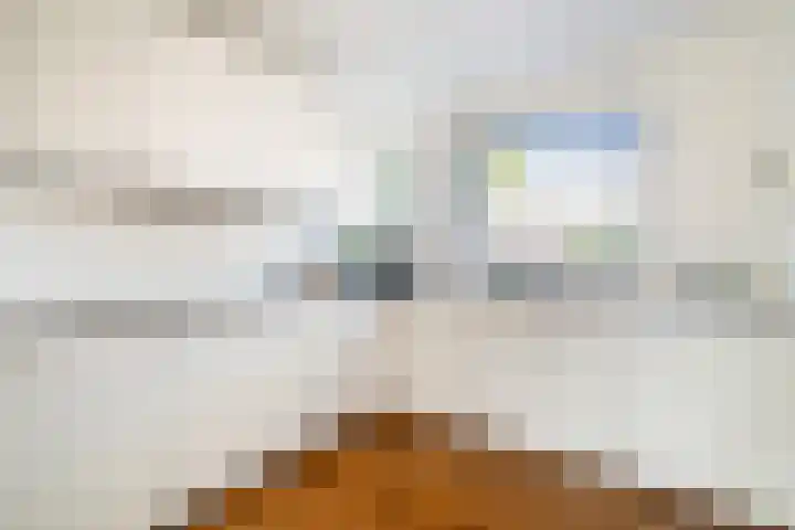 Oude Veiling 38 Den Hoorn thumbnail 23