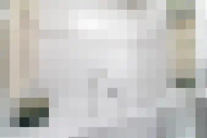 Oude Veiling 38 Den Hoorn thumbnail 34