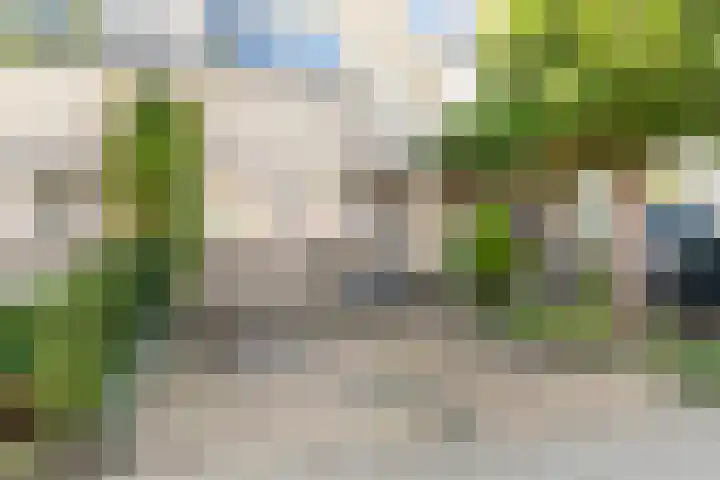 Oude Veiling 38 Den Hoorn thumbnail 39