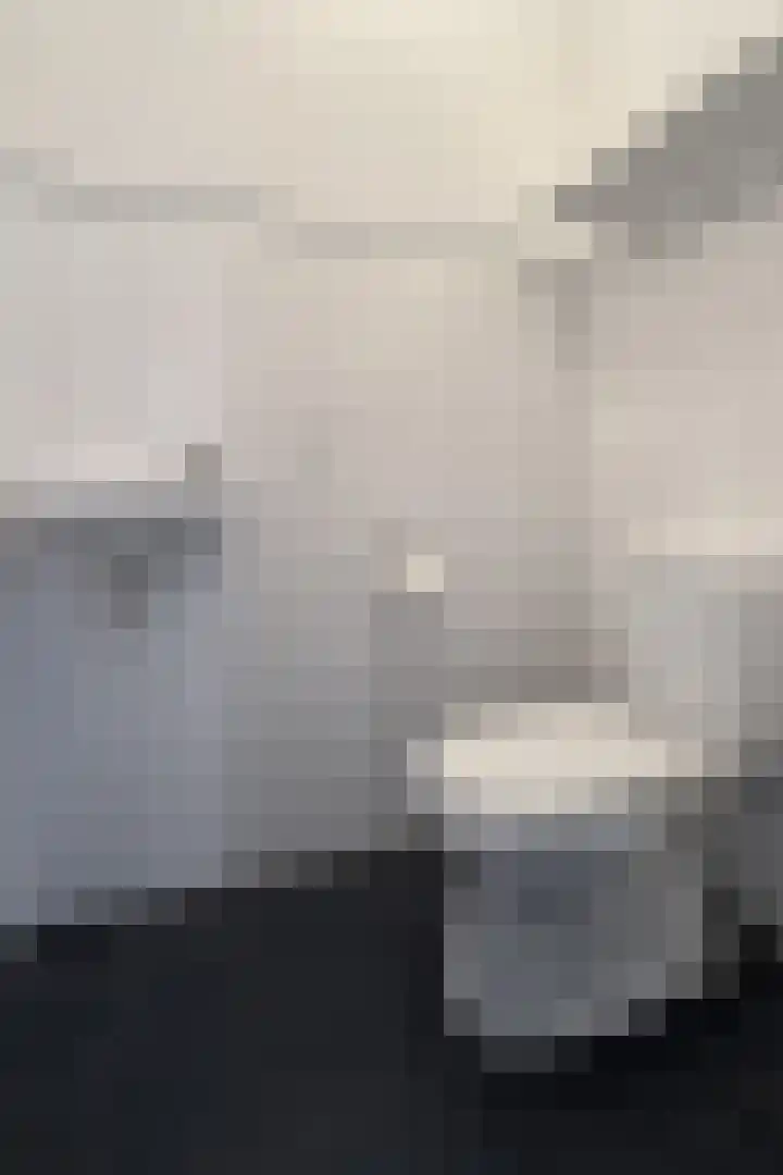 Oude Veiling 4 Fijnaart thumbnail 39