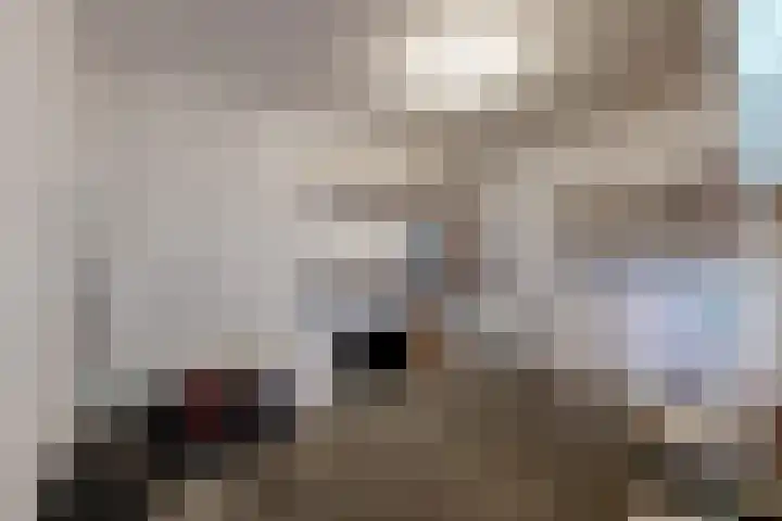Oude Veiling 4 Fijnaart thumbnail 40