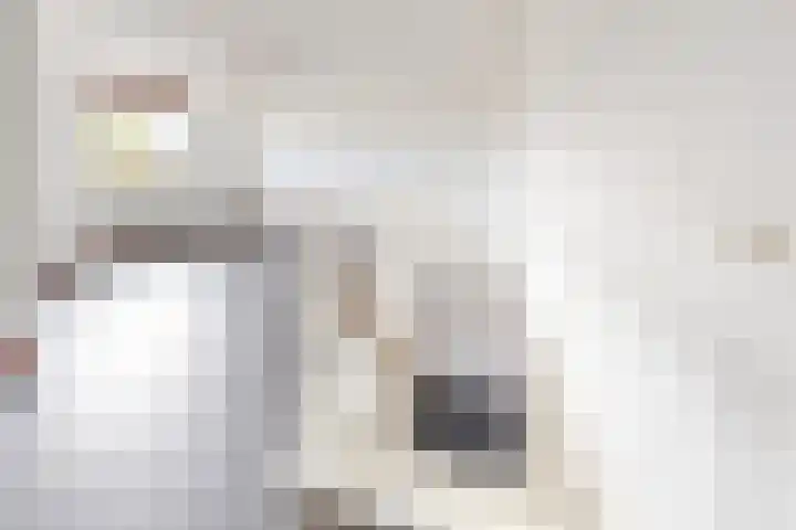 Oude Veiling 4 Fijnaart thumbnail 42