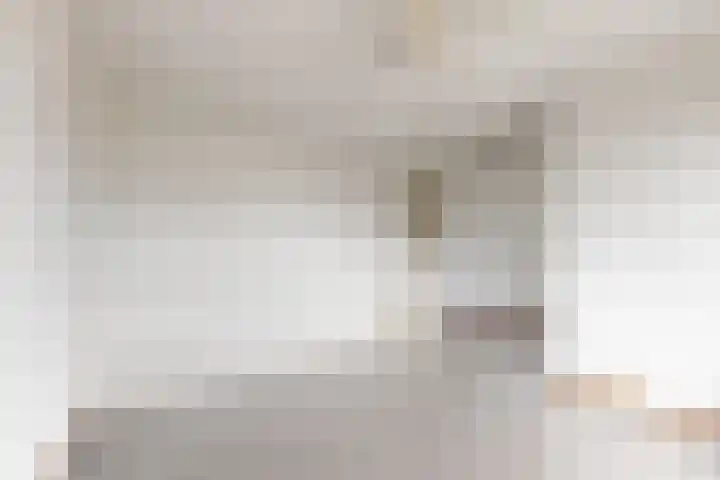 Oude Veiling 4 Fijnaart thumbnail 44