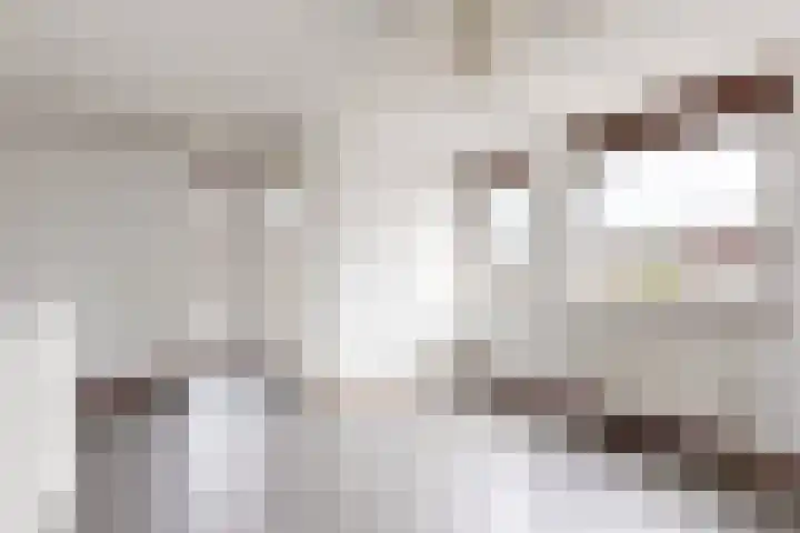 Oude Veiling 4 Fijnaart thumbnail 46