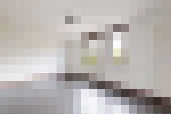 Oude Veiling 4 Fijnaart thumbnail 47