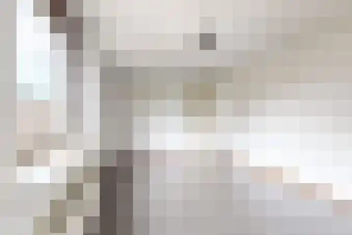Oude Veiling 4 Fijnaart thumbnail 49