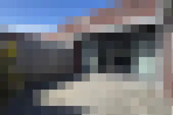 Oude Veiling 4 Fijnaart thumbnail 52