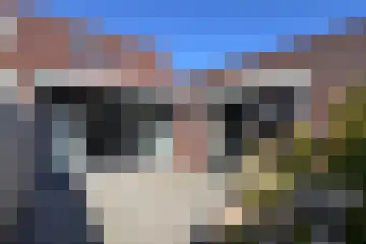 Oude Veiling 4 Fijnaart thumbnail 53