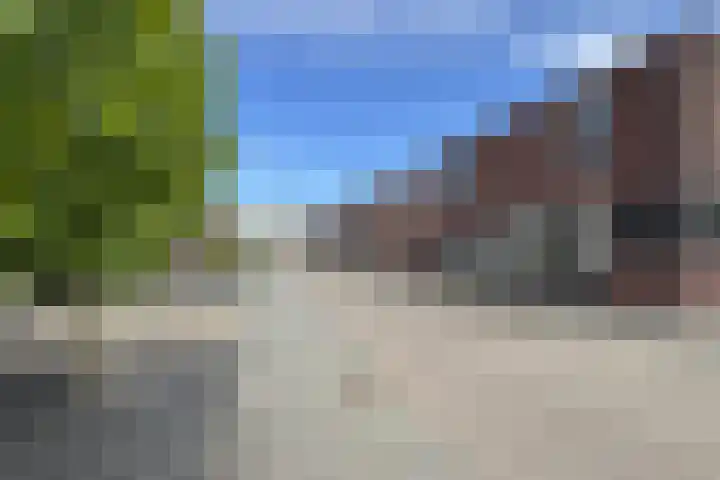 Oude Veiling 4 Fijnaart thumbnail 57