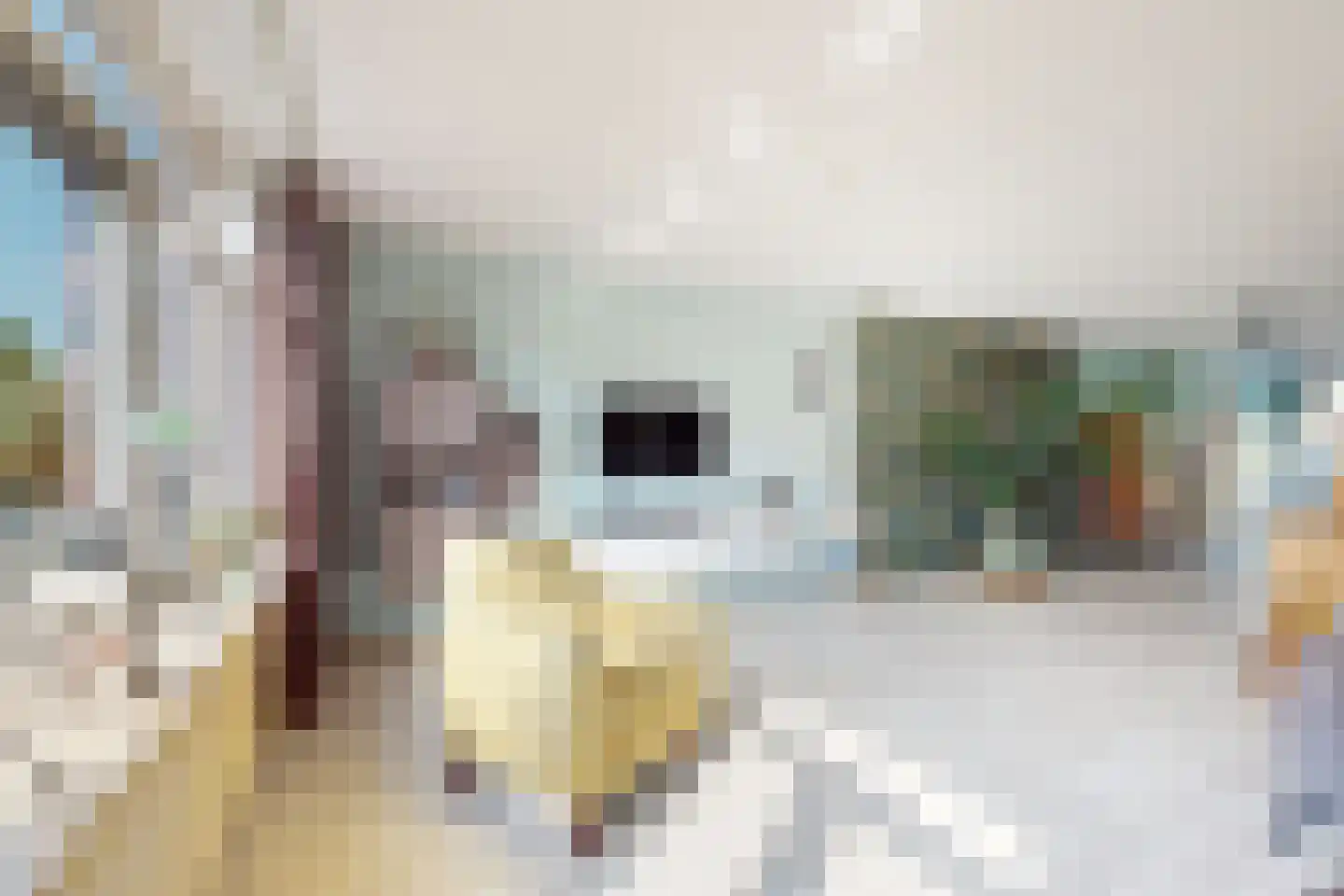Oude Veiling 7 Fijnaart thumbnail 14