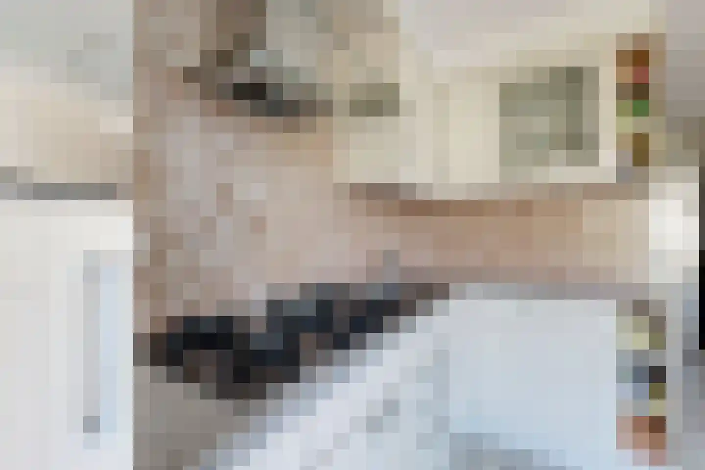 Oude Veiling 7 Fijnaart thumbnail 31
