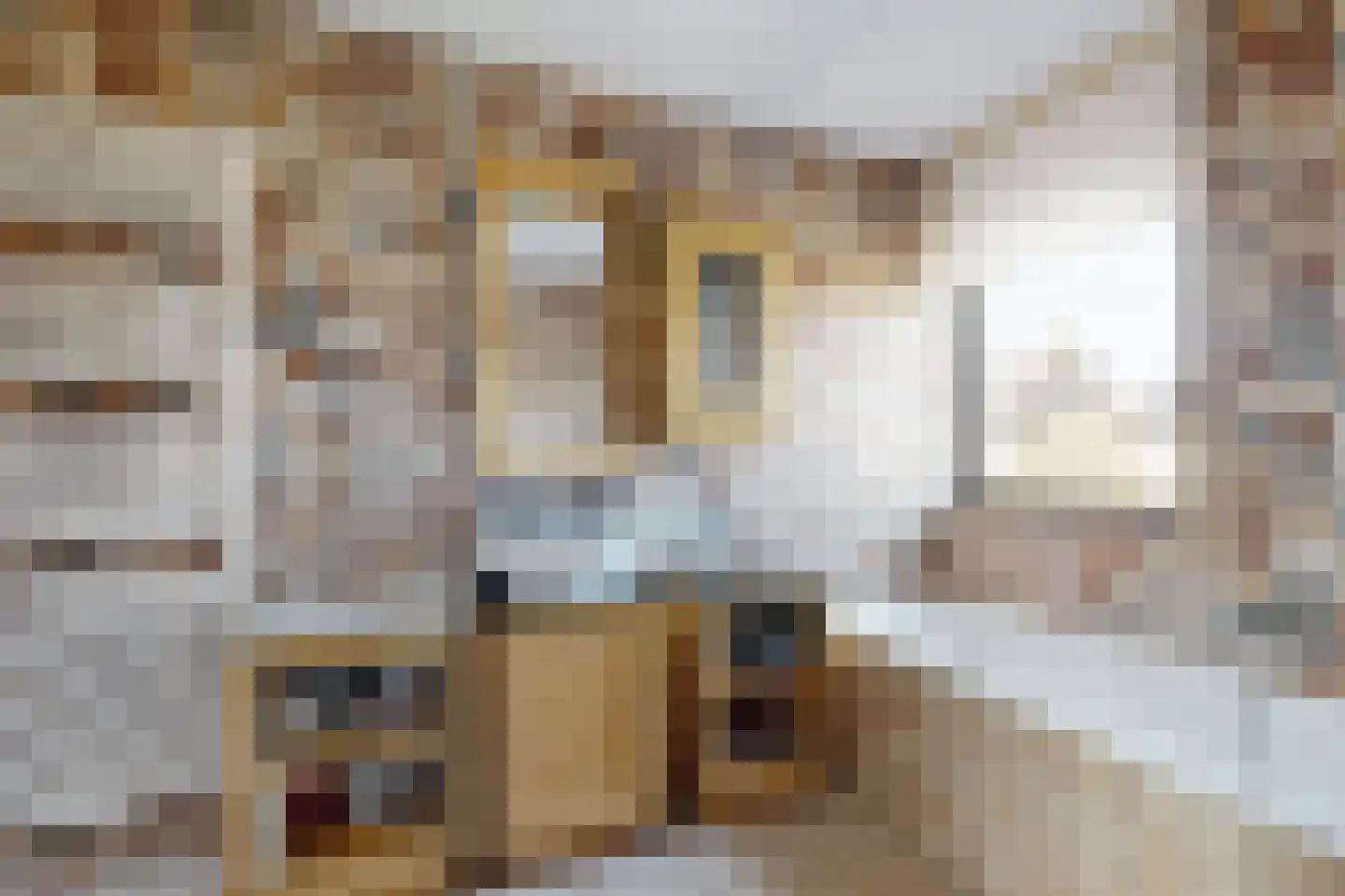 Oude Veiling 7 Fijnaart thumbnail 45