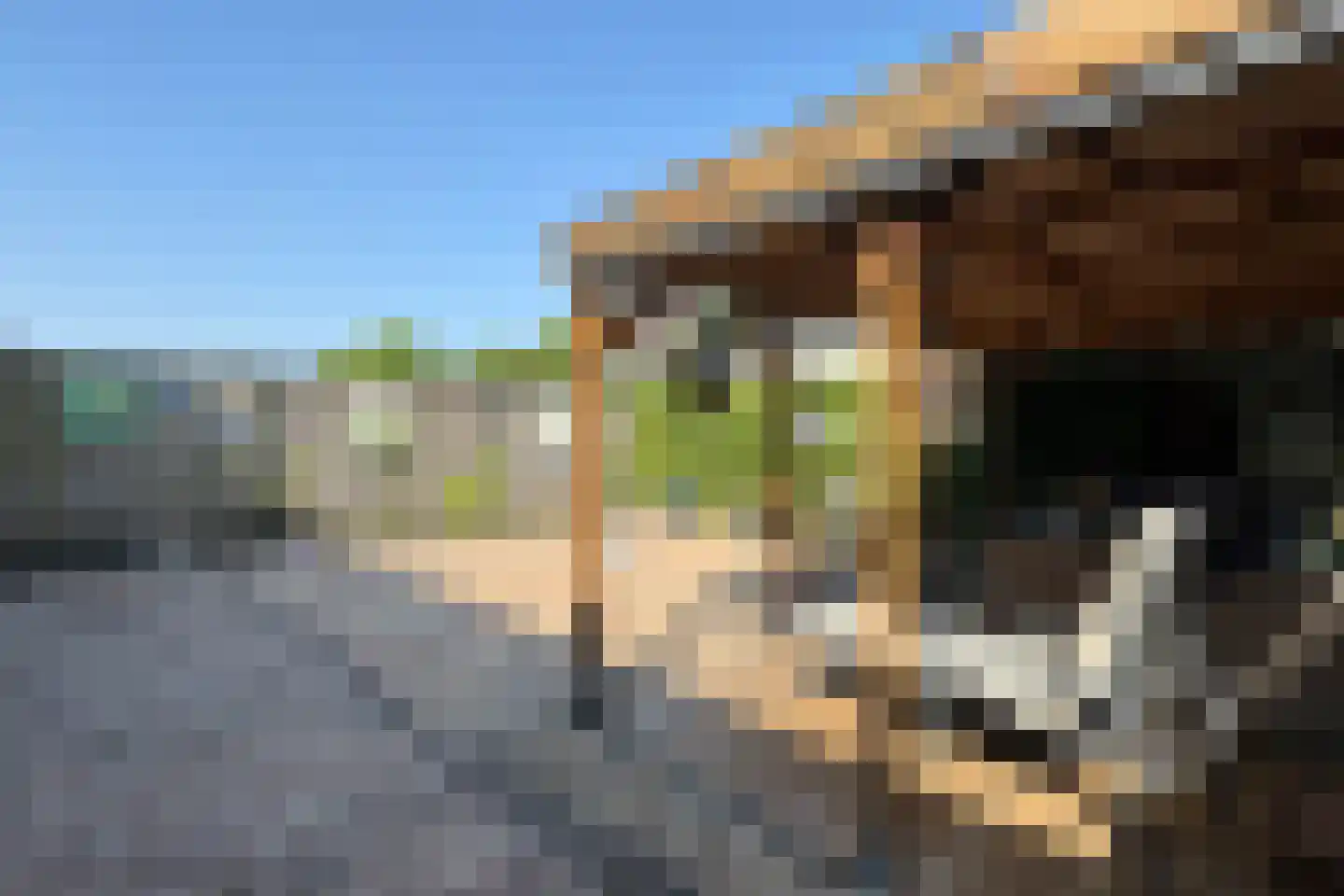Oude Veiling 7 Fijnaart thumbnail 59