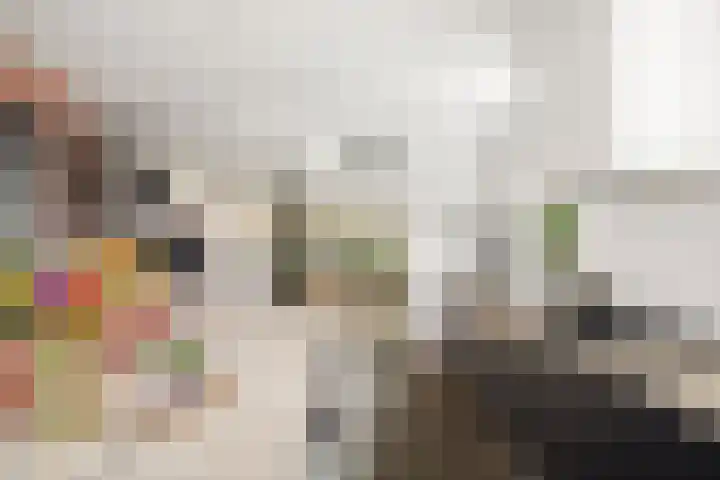 Oude Veldjes 7 Twello thumbnail 17
