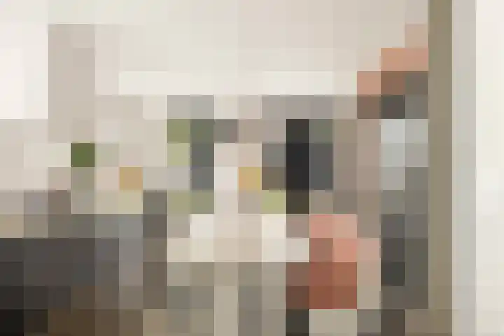 Oude Veldjes 7 Twello thumbnail 18