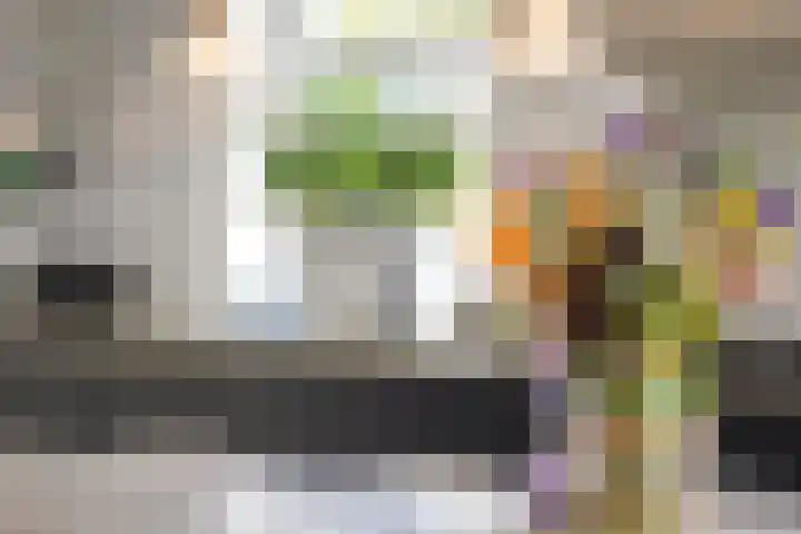 Oude Veldjes 7 Twello thumbnail 20