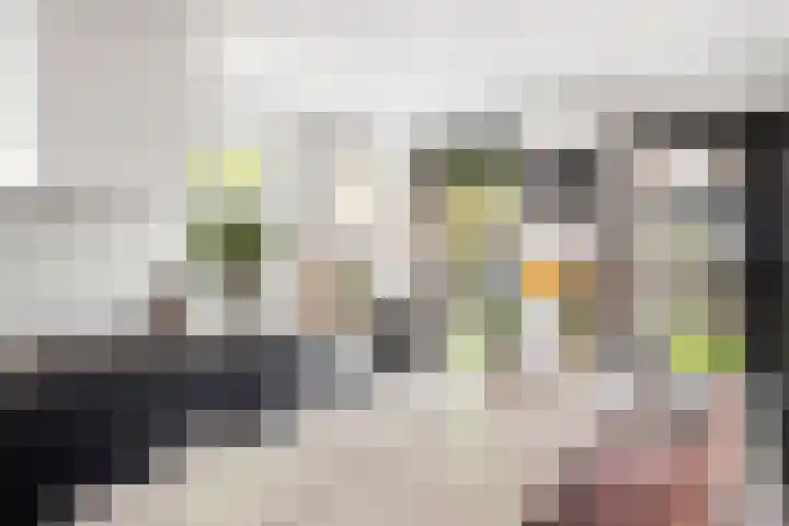 Oude Veldjes 7 Twello thumbnail 21