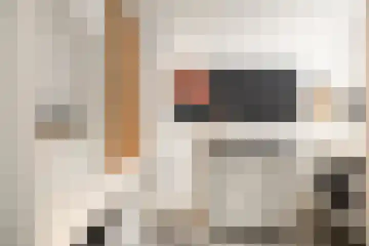 Oude Veldjes 7 Twello thumbnail 22