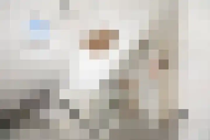 Oude Veldjes 7 Twello thumbnail 24