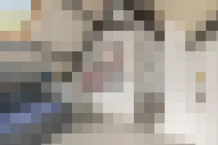 Oude Veldjes 7 Twello thumbnail 27