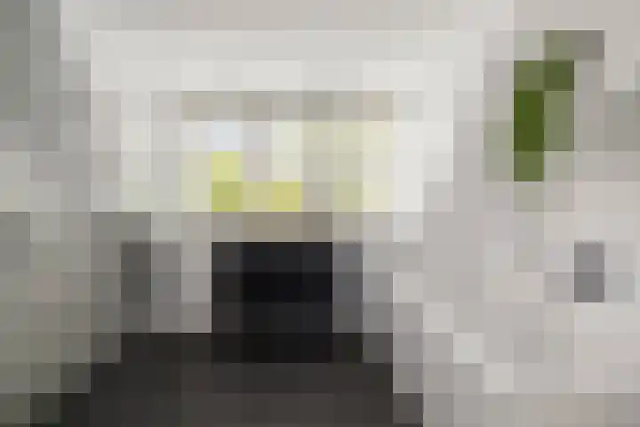 Oude Veldjes 7 Twello thumbnail 29