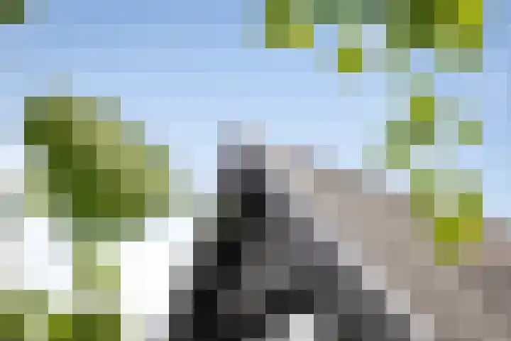 Oude Veldjes 7 Twello thumbnail 34