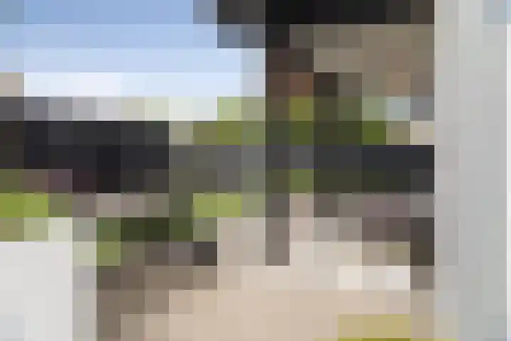 Oude Veldjes 7 Twello thumbnail 35