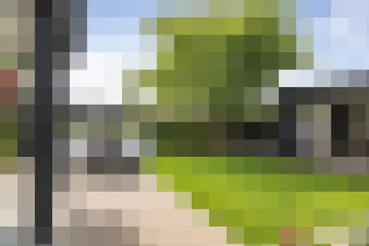 Oude Veldjes 7 Twello thumbnail 36
