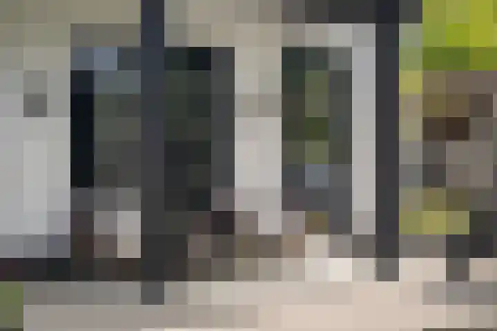 Oude Veldjes 7 Twello thumbnail 37