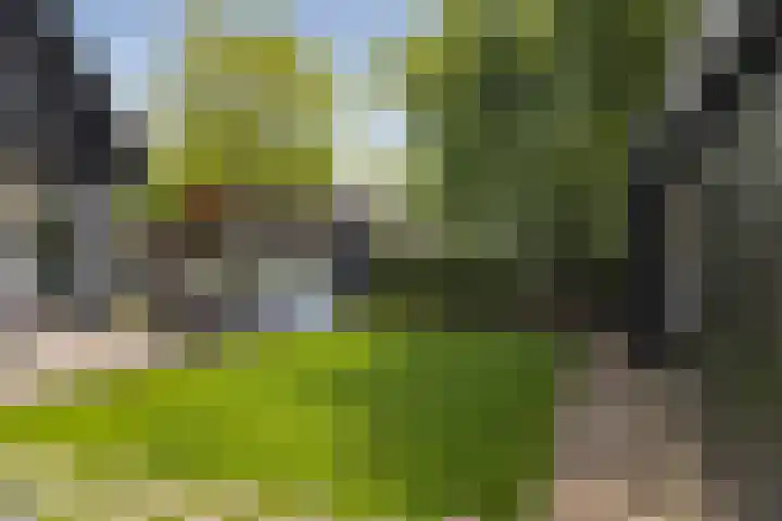 Oude Veldjes 7 Twello thumbnail 39