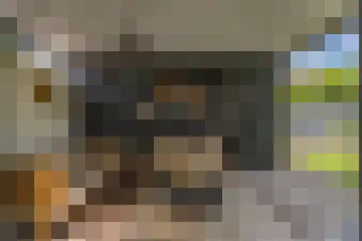 Oude Veldjes 7 Twello thumbnail 42