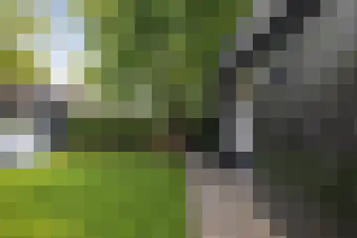 Oude Veldjes 7 Twello thumbnail 44