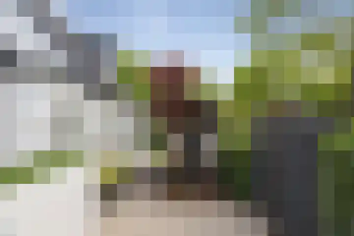 Oude Veldjes 7 Twello thumbnail 45