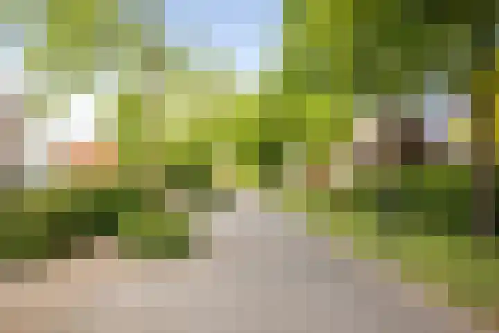 Oude Veldjes 7 Twello thumbnail 49