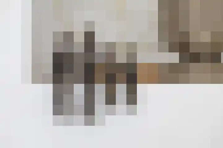 Oude Veldjes 7 Twello thumbnail 7