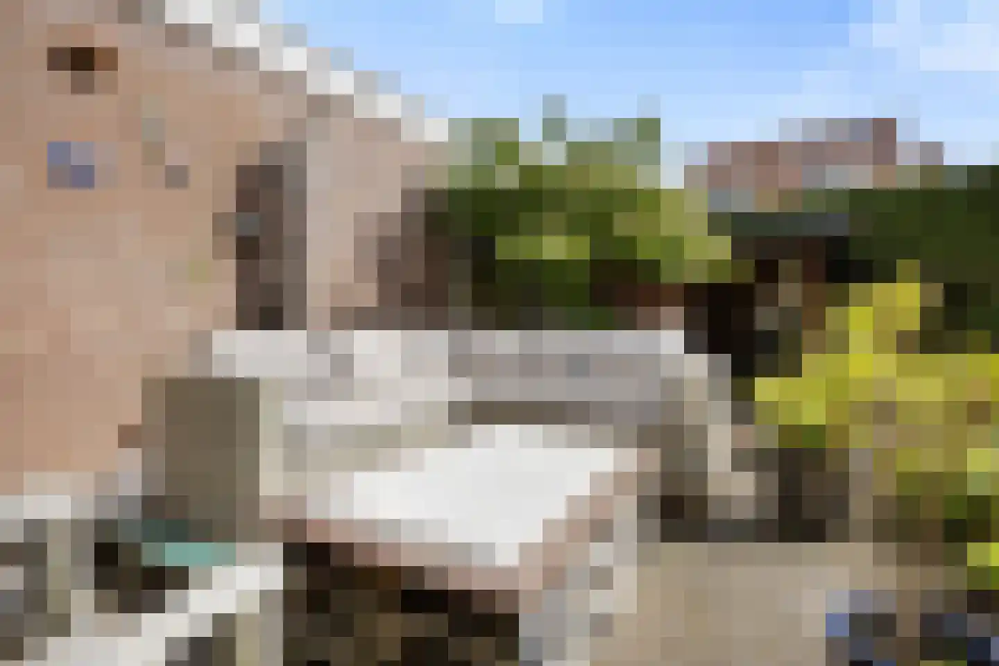 Oude Velperweg 12 Arnhem thumbnail 11